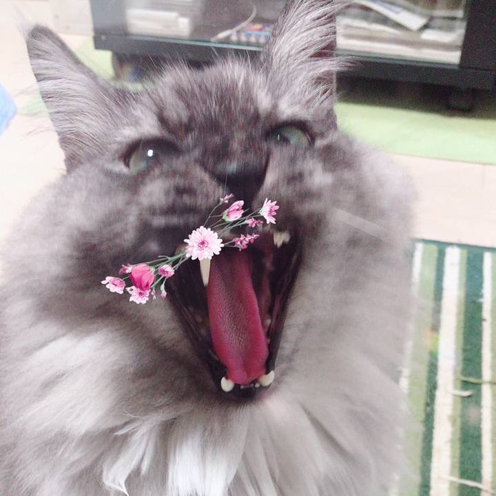 75584817 2408 4566 aaa1 ddd3edf9a617 1555310886100