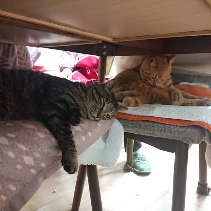 75589da7 993f 4f8c b11a 826c2eebed3a 1648335782807