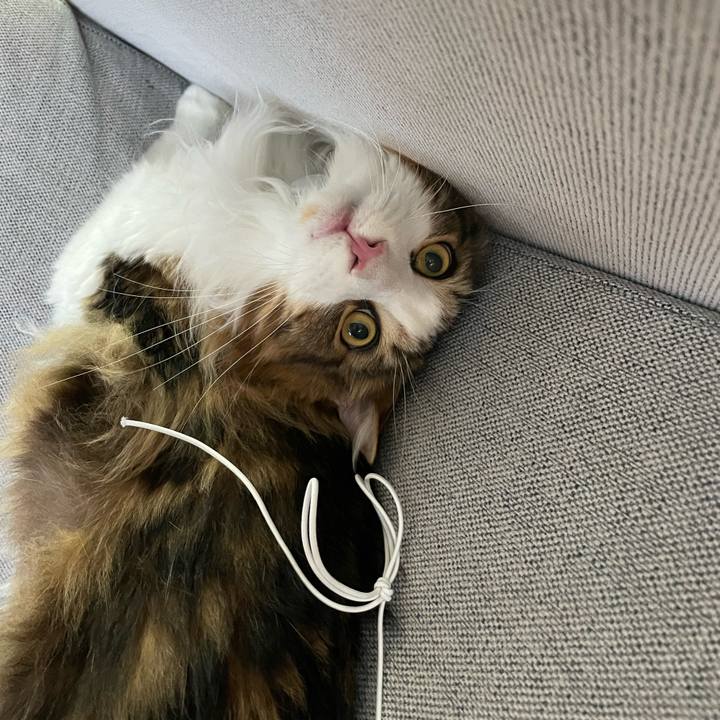 7558c629 794b 4774 9e06 d30d58f67d80 1658175310620