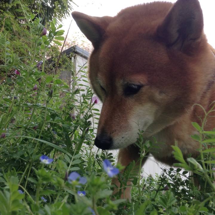 7558f69d e4d3 4b4f 85fc d5eef450892a 1522631979459