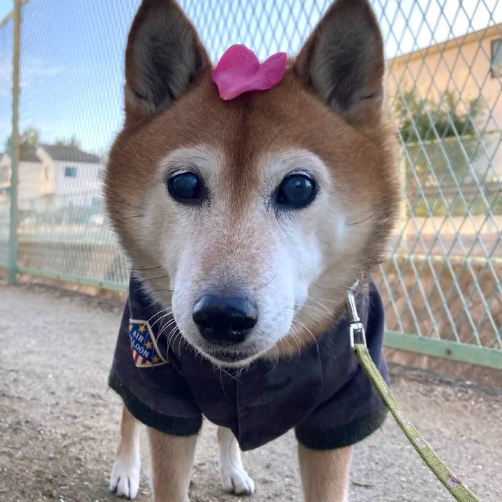 75592971 10a0 41ff 893c 043faaef6699 1702770484683