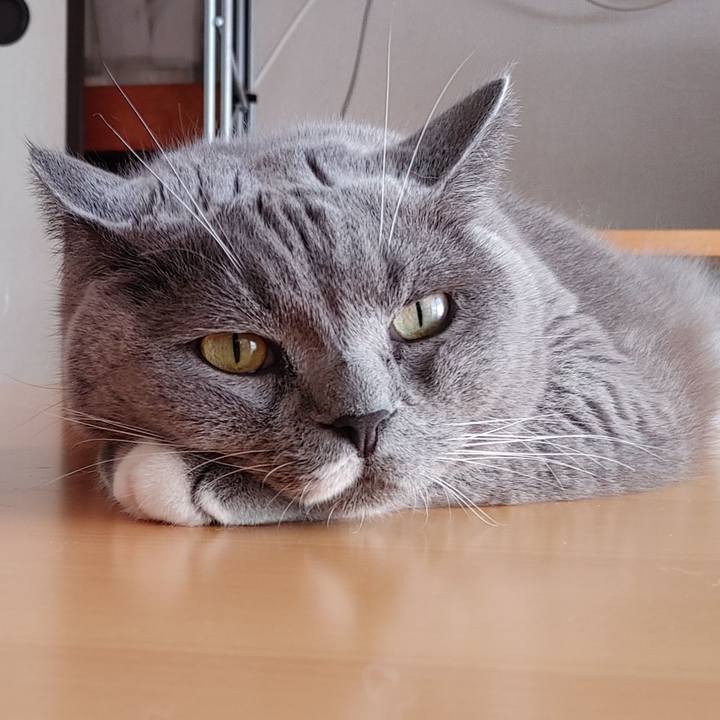 7559586d a3da 4fad 8799 78abeb5bd368 1659139864311