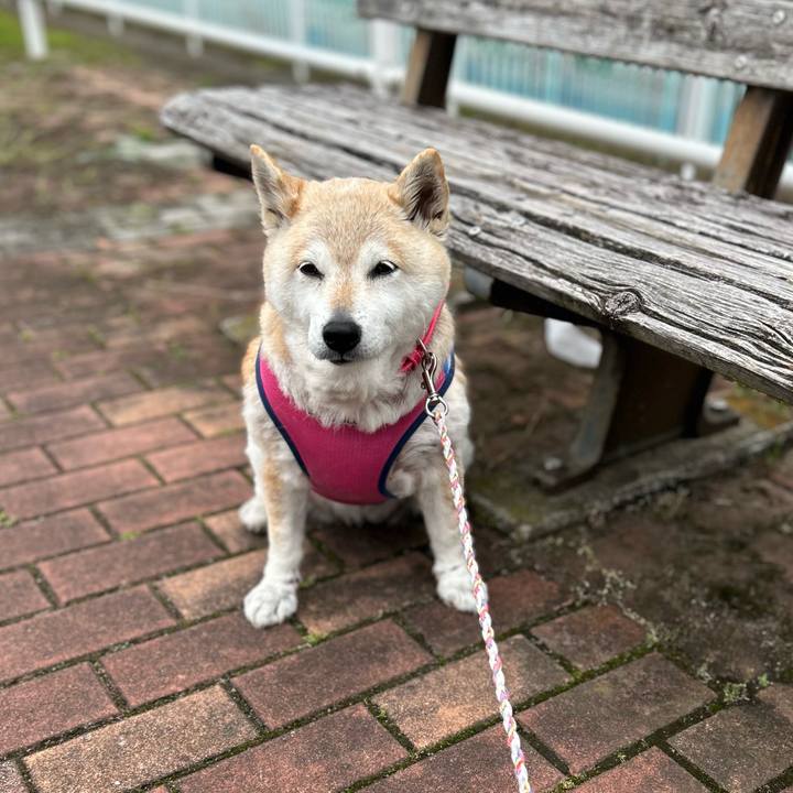 755959be a341 4b1d bce7 1c07e98acedf 1747637232368