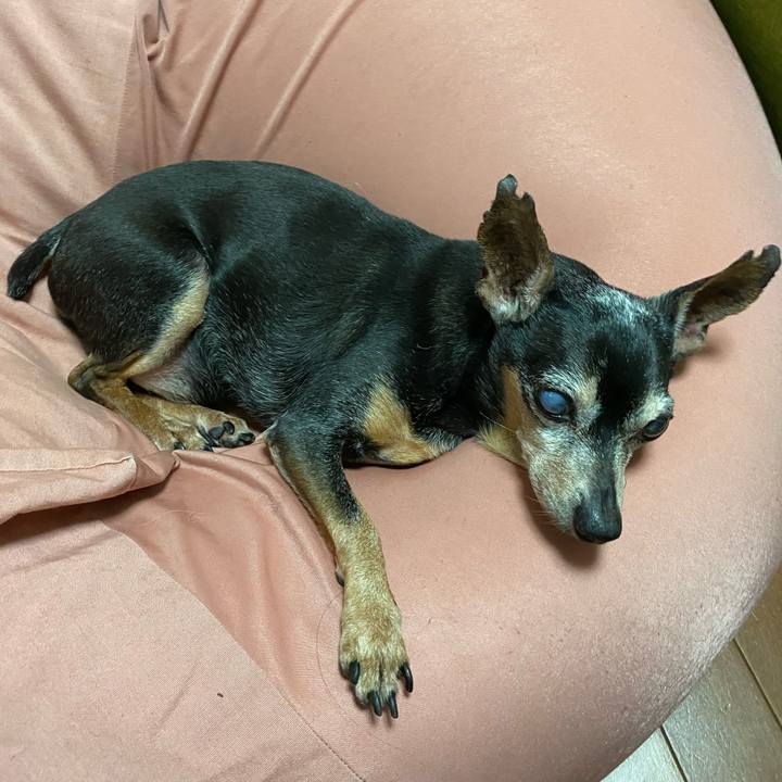 75596040 295e 4da2 819f 69e1164621f9 1592318136819