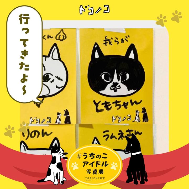 755981c8 8f28 41ff 8ab5 b5b5b8041ea8 1762144574765