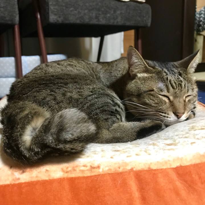 7559dec4 278e 416e a5f8 7a7c92327428 1528812099461