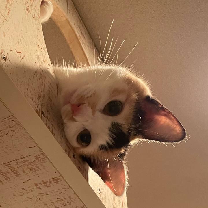 755a453d b7c0 414d 98eb 72bf2dfebc39 1669507768640