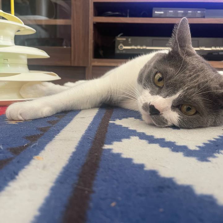 755ab2e4 9653 4829 bf77 55ca50f60a08 1633138255215