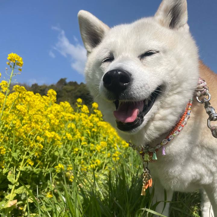 755ab6c7 b63c 48bf 90ab 18475aeb74b3 1711770019941