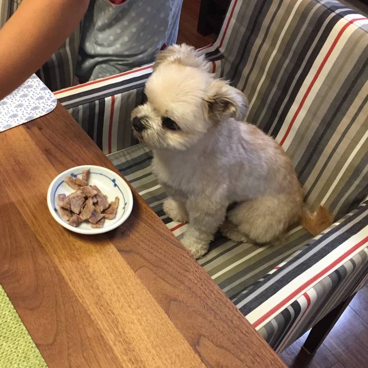 755ace8a 522f 4ee5 a12d ae30f28e3d2a 1537185533221