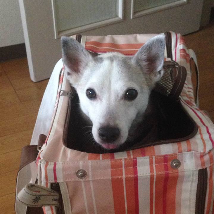 755b5330 30a0 4338 aa6f 6e677a10b127 1763331135642