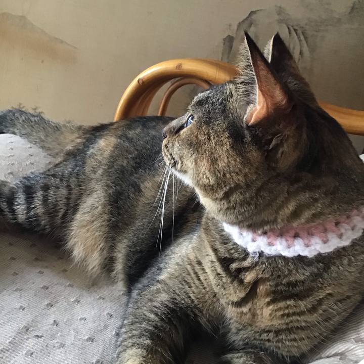 755b6539 4bc1 413a abd9 b708e0548f57 1755517498705