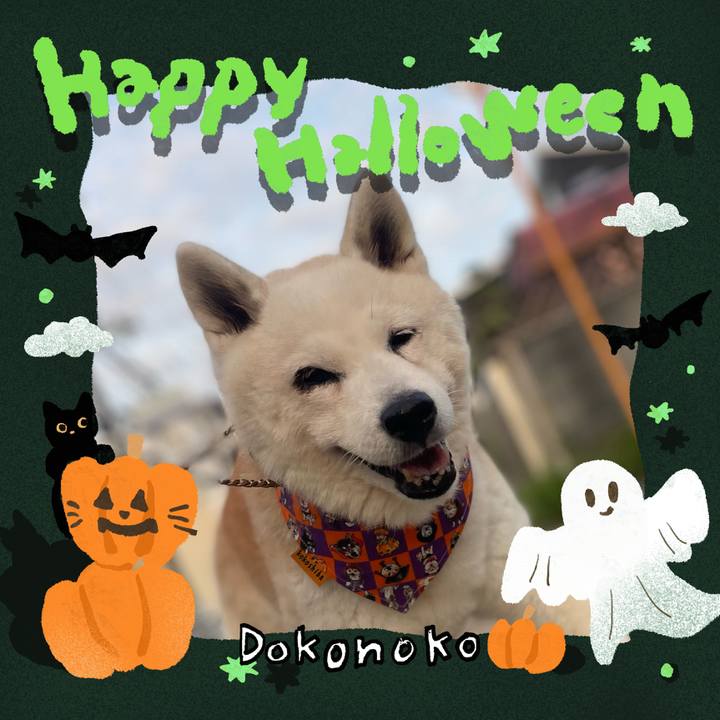 755b77f4 dbec 4a92 9709 059e005aae59 1729809570418