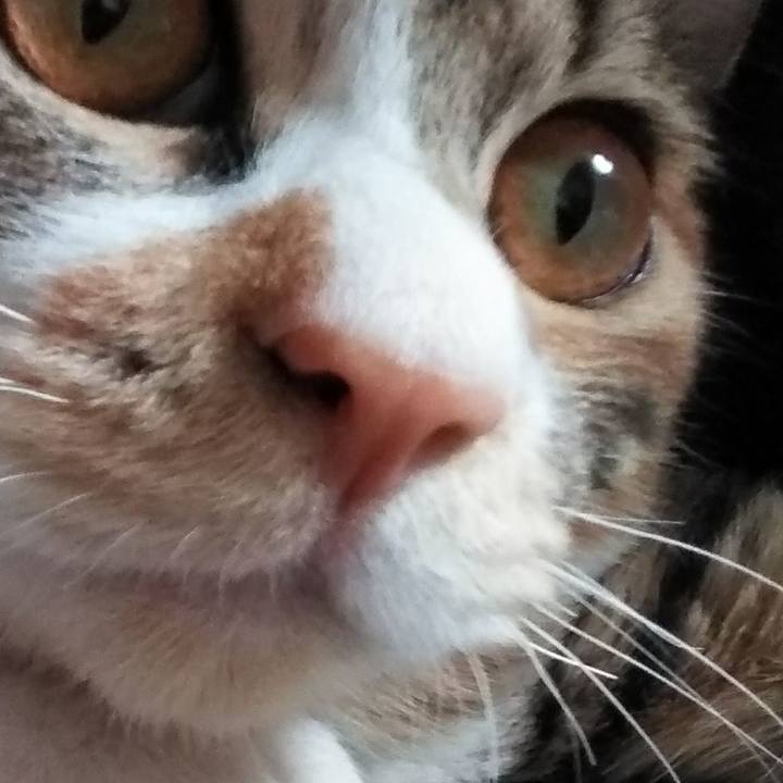 755b7cdc 1e97 4ba3 87d8 009f32853d12 1638010406178