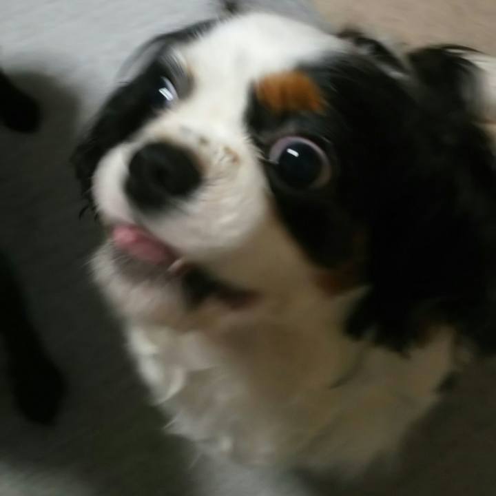 755b8c38 31ff 4a59 8669 23b4c42f12f9 1531919223266