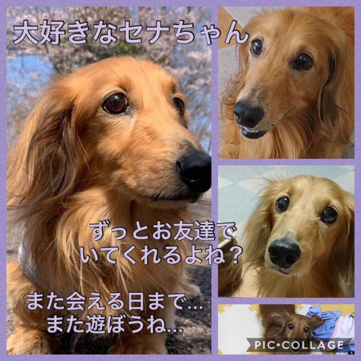 755b9962 3ad8 4da9 9772 809ca6190037 1561527706055