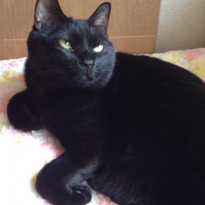 755badf0 5222 4d73 8022 08e3a7e8a6d5 1557535828982