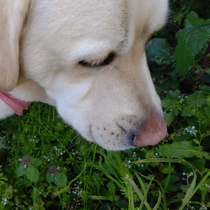 755bca98 b8d5 48a3 9b17 b7b8da72ef50 1586417662864