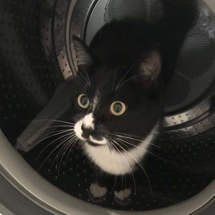 755c0939 8bf3 4bff 9589 5e9386c025a8 1522986745814