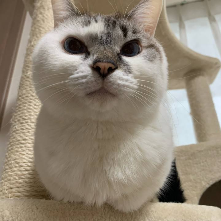 755c3468 0a80 4b9f 9466 5fb07f2fd2f5 1611365342828