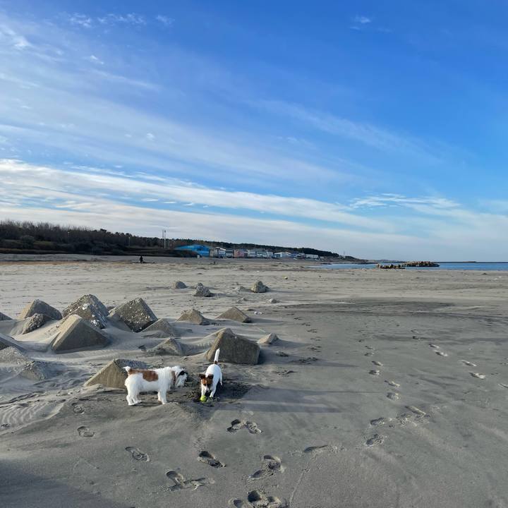 755c5c49 08bb 4e02 bf9e 3f683bd458ec 1700697529793