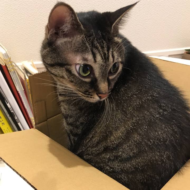 755cd55a 4084 428c 9909 f14316db7215 1567338688647