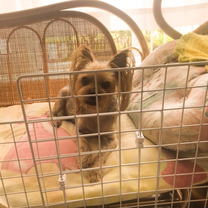 755cda8b 288c 422b 9411 378501d1dfb4 1591869506139