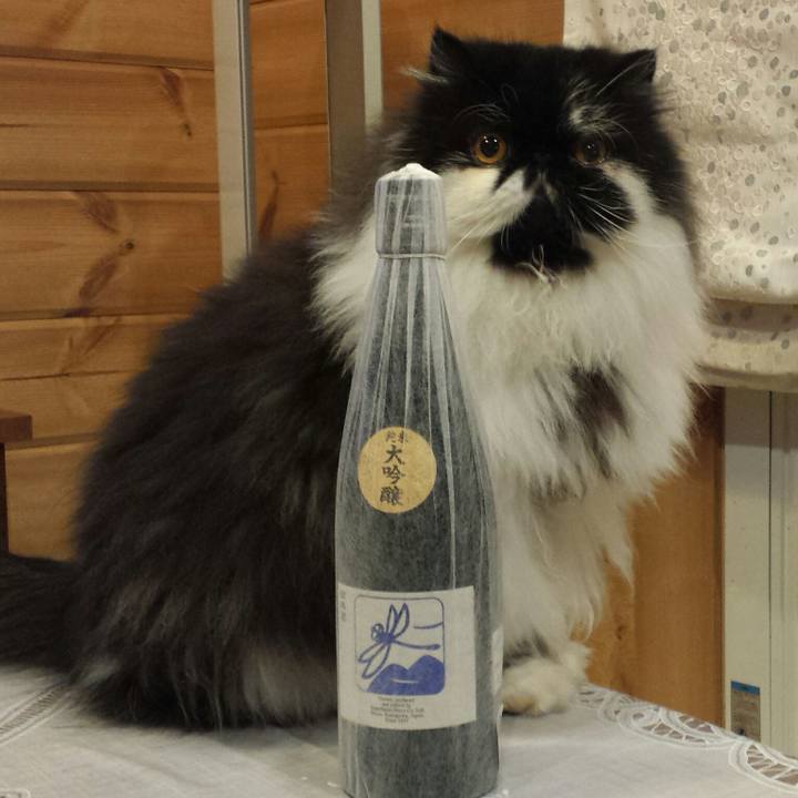 755cdd2e 86be 4106 9b3d 6bb26b3268f7 1517570581282