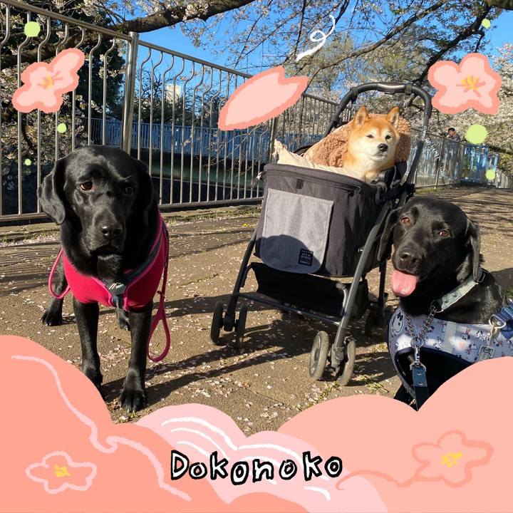 755cf298 bee4 4eec 9bb7 dd9b8094ae38 1775299241473