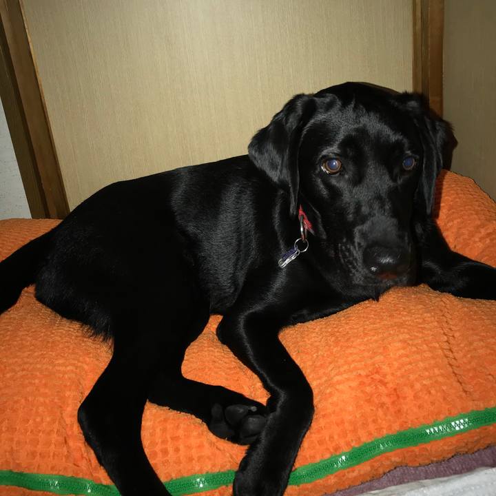 755cff58 8296 4c8a bcbe 15c0bec6e5a2 1528894926791