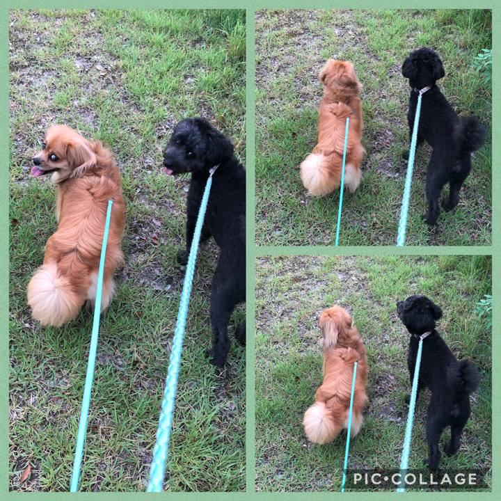 755d0cc8 21e2 41cd a0e4 cf112e9a9ca7 1565645803567