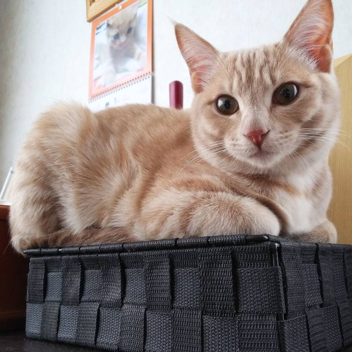 755d0e16 07a7 4a78 ae56 12d8d6bb39e1 1546561743911