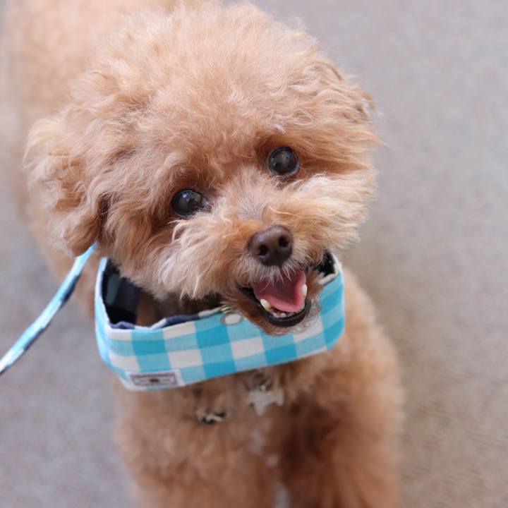 755d2283 dbbe 412f af87 d7d7d5b71f4b 1532128745424