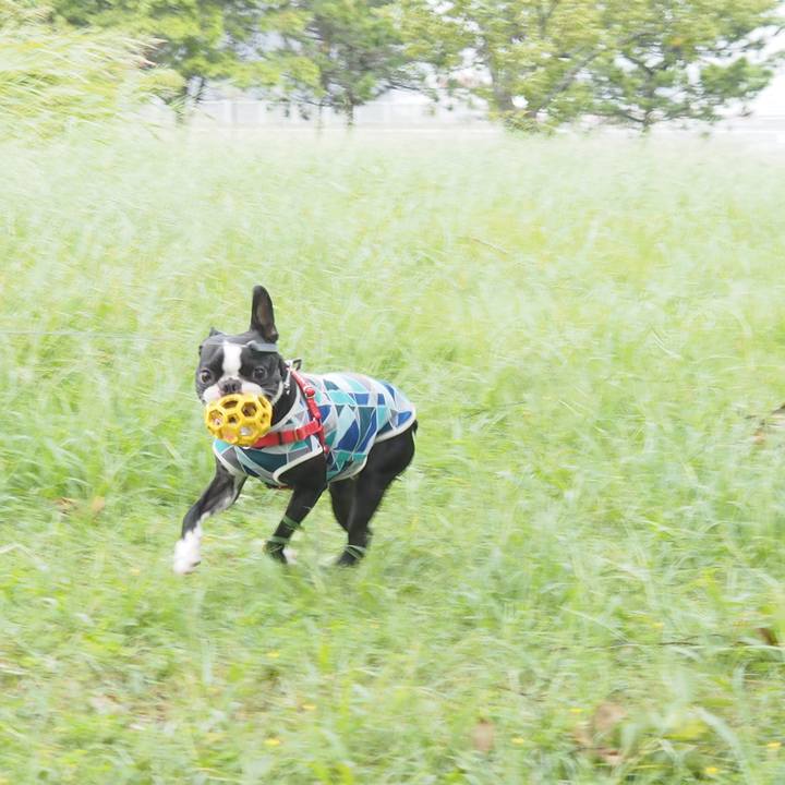 755d58a5 bc37 45fa 97bf 5598d6b1b08b 1569221018368