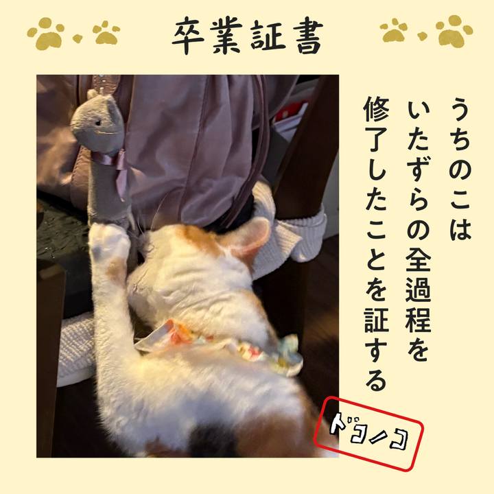 755dba70 3b11 4f37 81f6 2fc820c4a6ee 1771839665106