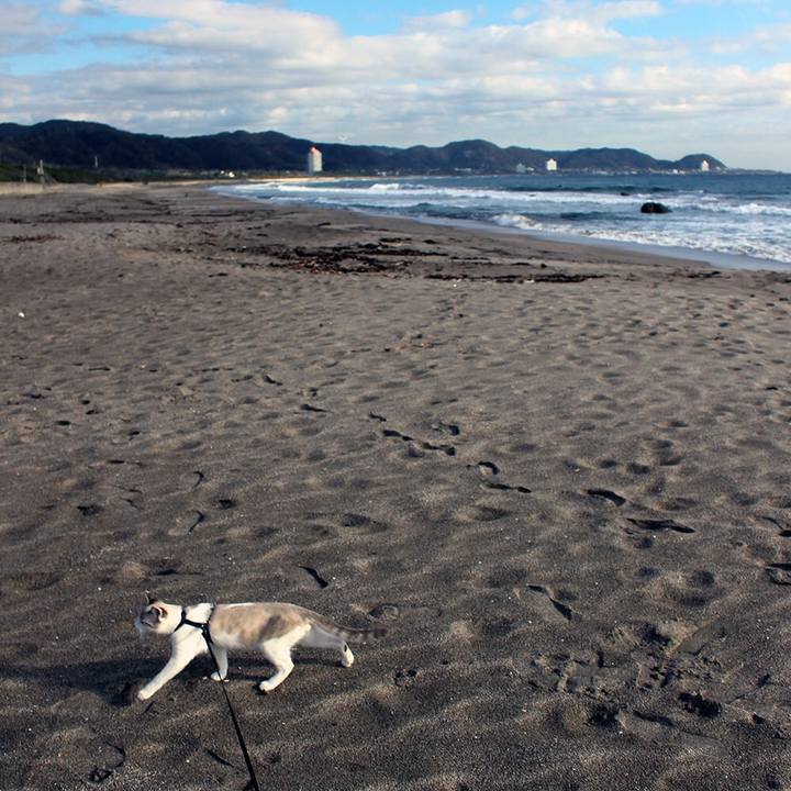 755dc028 4a86 4c82 a759 2b54079d3b43 1611565406283