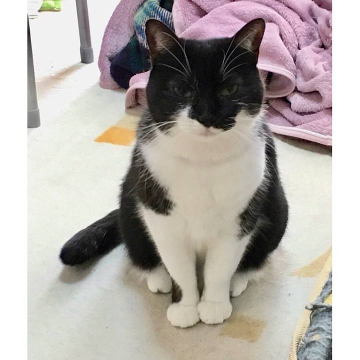 755dd52a 1564 4ea1 bd52 9b77c50b5b88 1515557177062