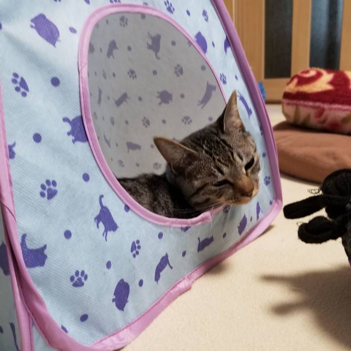 755e0377 9290 49c5 a520 ec29bea2b1b2 1682434878361