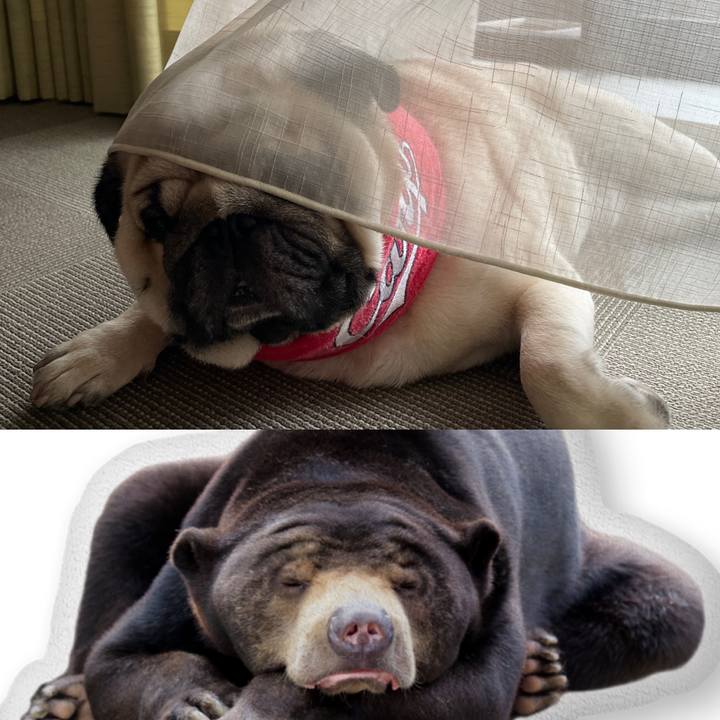 755e1573 94e5 46a4 8ce9 d1919a87669d 1658203137513