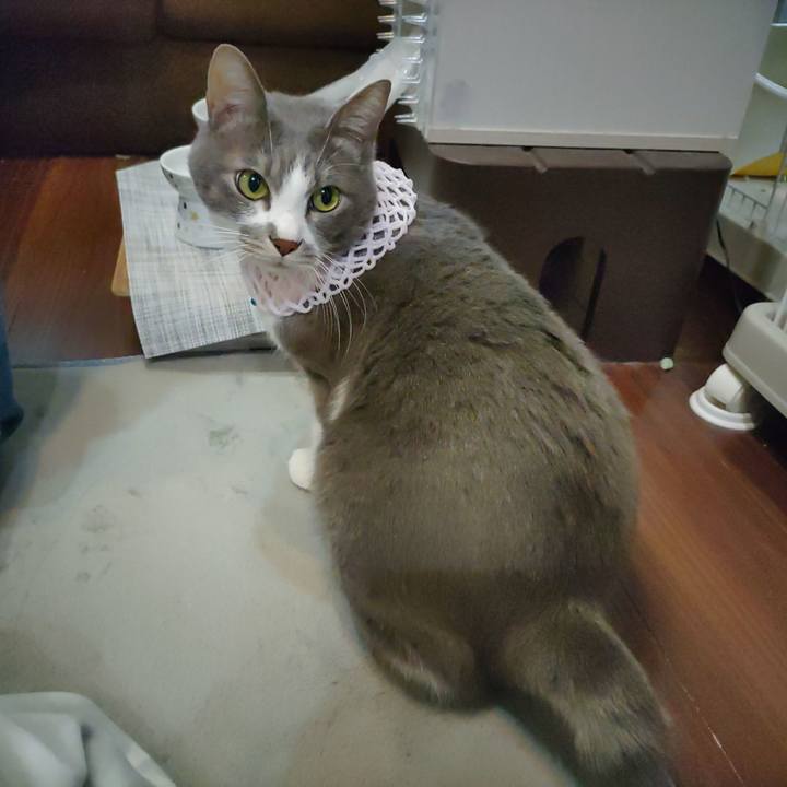 755e1ce2 9815 48f6 8329 366229d28d93 1700031661591