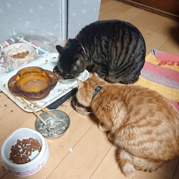 755e8eae f70d 48e7 9d9b 4efa9ccac2f7 1640726614167