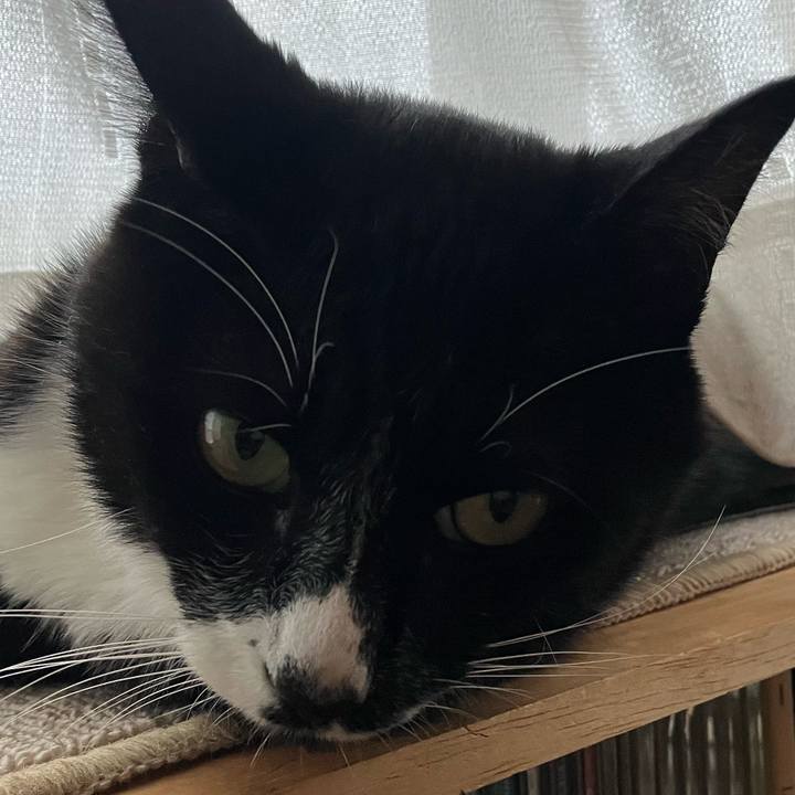 755ebbb3 2b65 4860 9755 0cc51c1c1db7 1666412609890