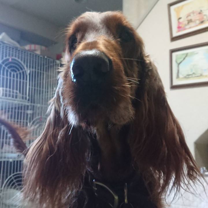 755ed0b8 690a 41d5 824f 6dc852d23d4d 1514505644302