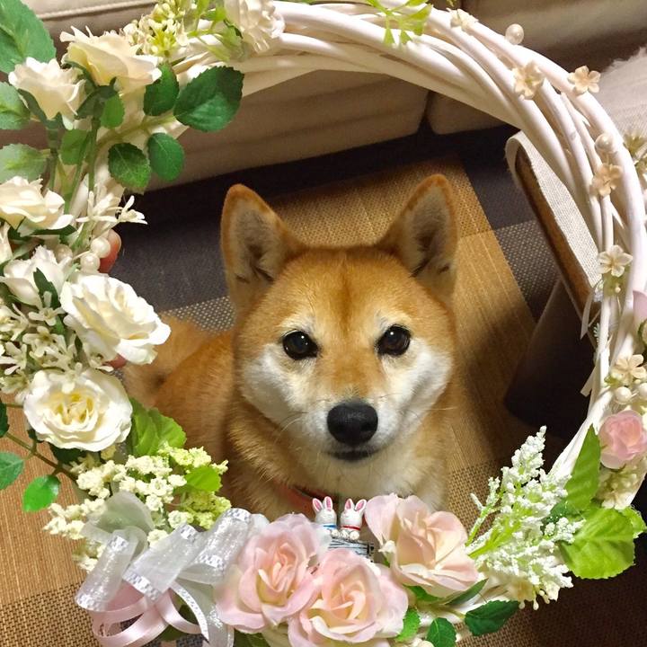 755f0262 2443 4e08 82ed f63240fb0af6 1510824785999