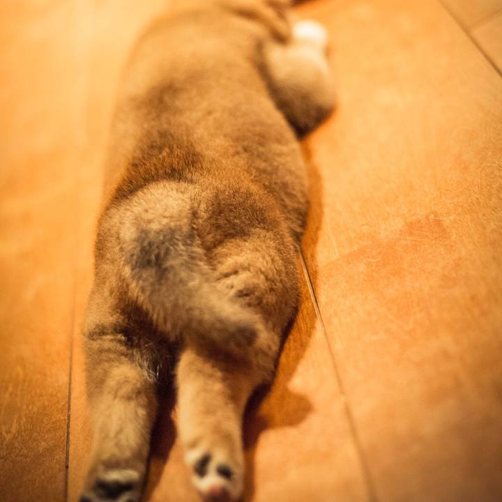 755f0612 556e 449d bf90 a1ab7486302c 1516987245922