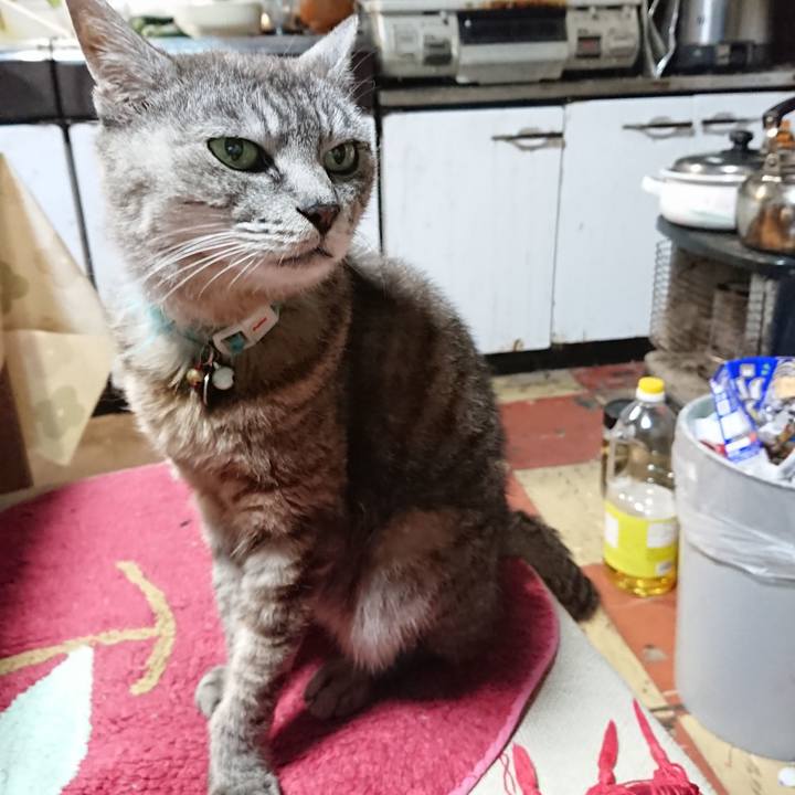 755f2deb a11b 4156 b489 e586017e1d73 1566942209631