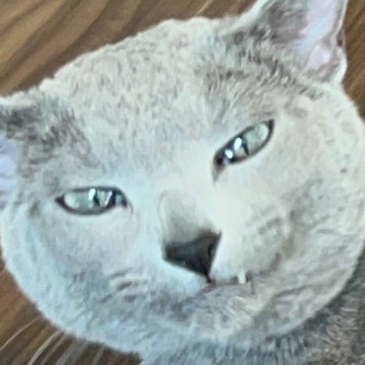 755f3f08 e7ca 4942 b0e0 fdd94abf23bd 1741599823531