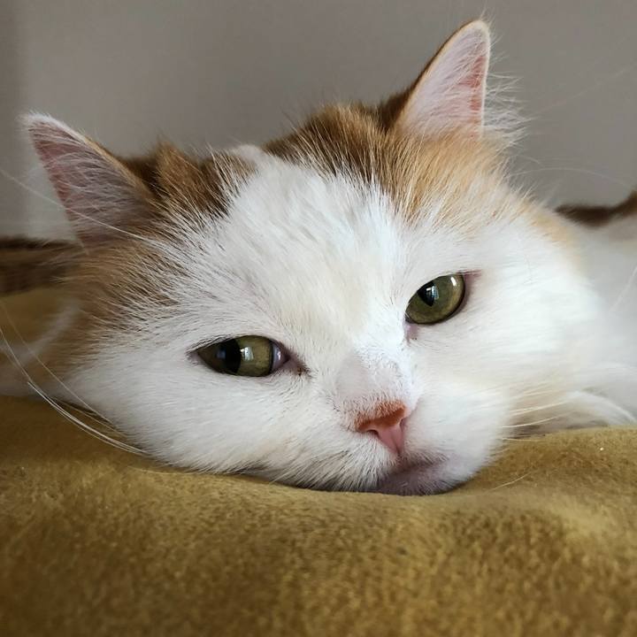 755f91e3 2cbb 4b0b 92b8 14c65307bde1 1766039047237