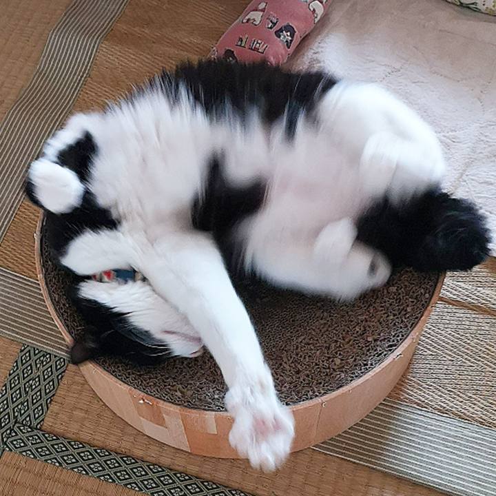 755fcf2d abe7 4e80 bd6c 141255e05747 1628566129684