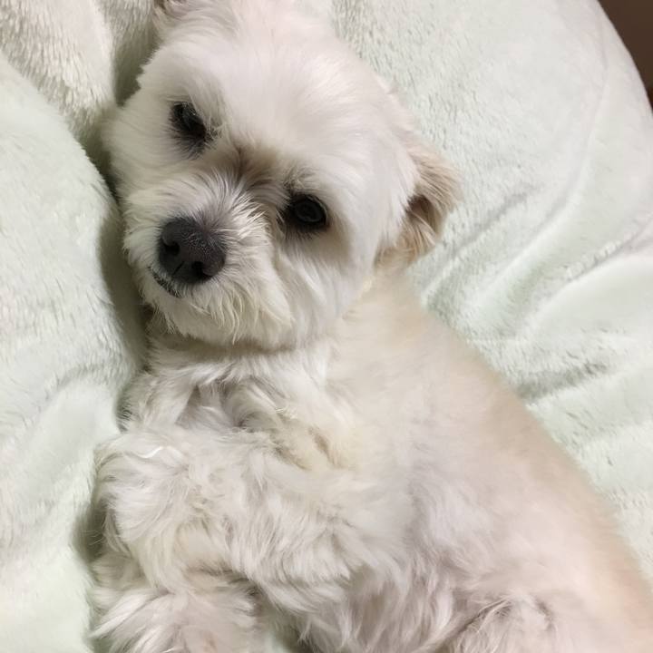 755fdb52 b5bf 4b26 a9be b9199235cb8e 1554287438195